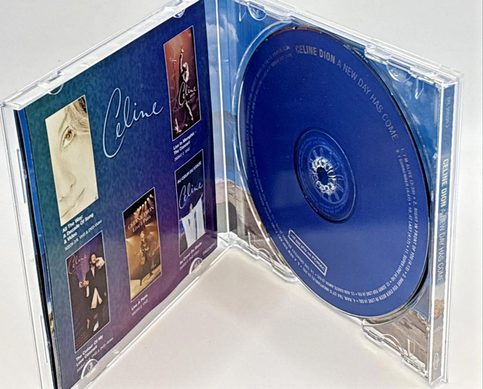 Celine Dion - A New Day Has Come CD 2002 Used Refurbished Mint Condition