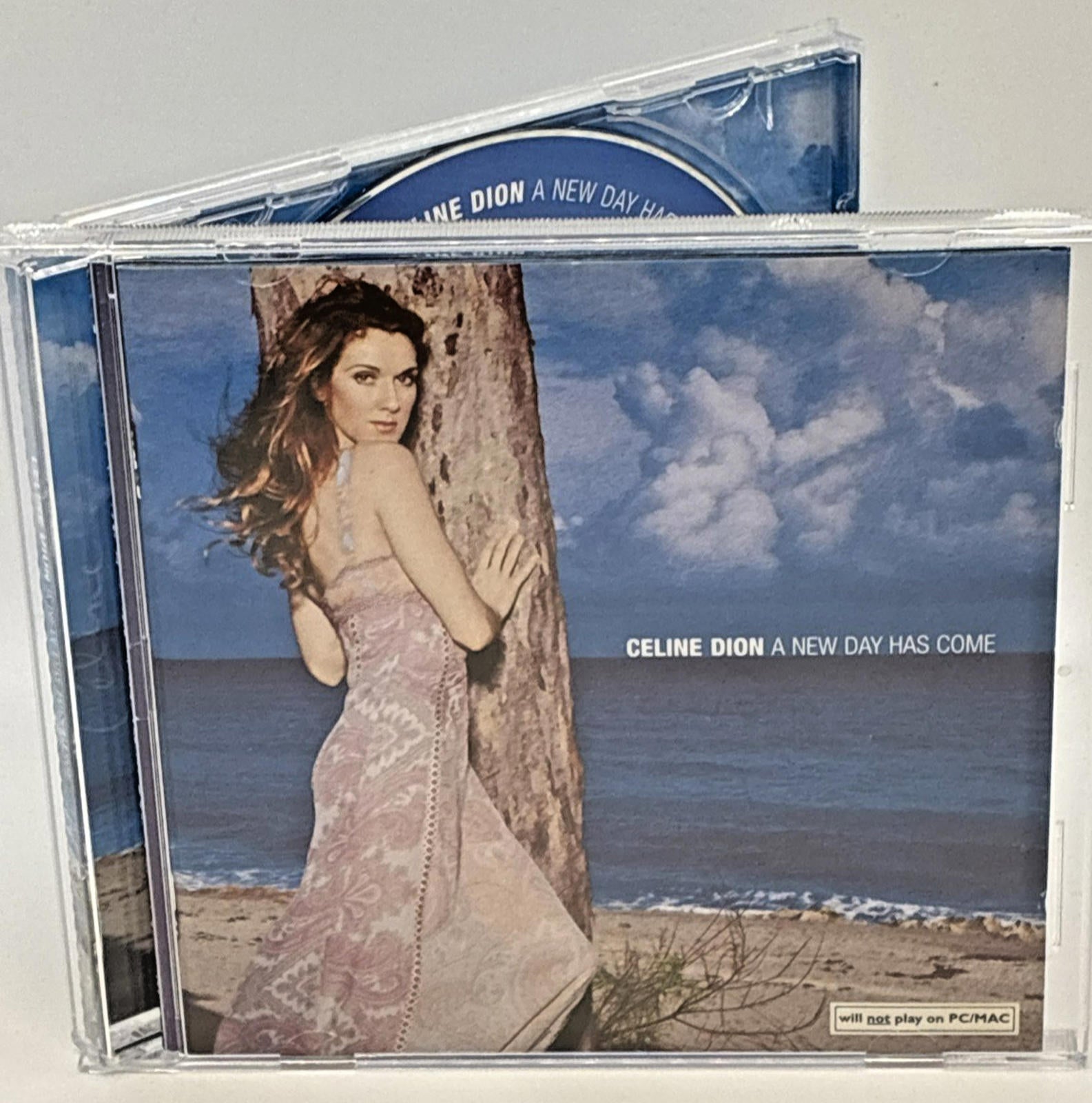 Celine Dion - A New Day Has Come CD 2002 Used Refurbished Mint Condition
