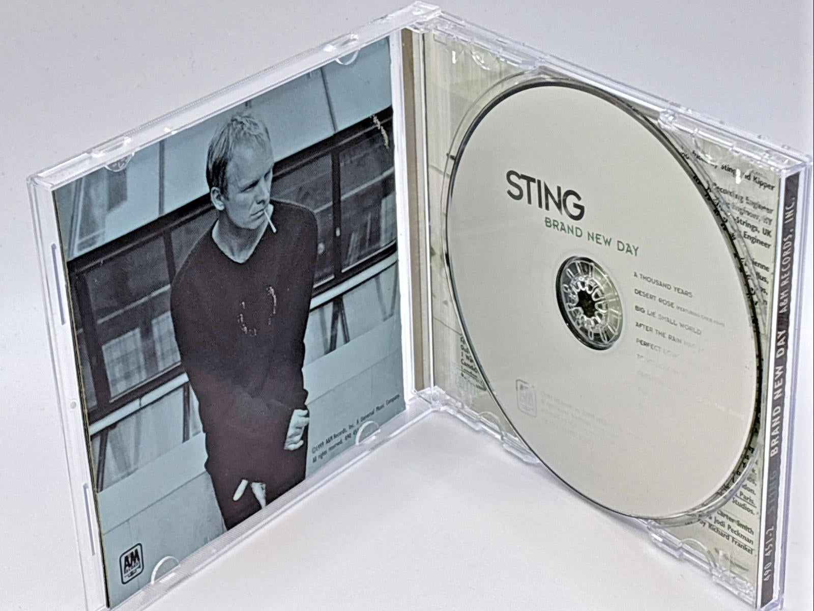 Sting - Brand New Day (1999) Used Mint Condition CD Album